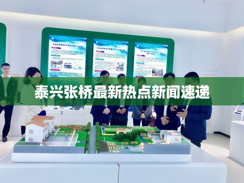 泰兴张桥最新热点新闻速递