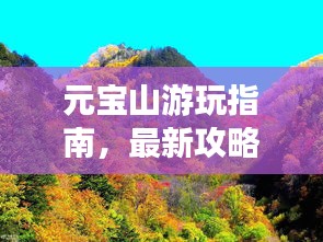元宝山游玩指南，最新攻略全掌握！