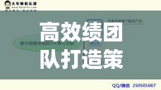 高效绩团队打造策略方案，构建卓越团队，提升业绩实效