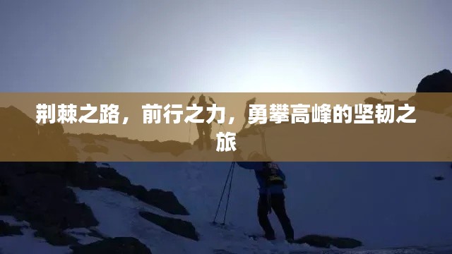 荆棘之路，前行之力，勇攀高峰的坚韧之旅