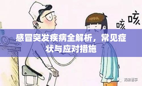 感冒突发疾病全解析，常见症状与应对措施