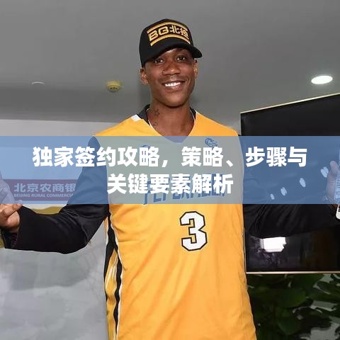 独家签约攻略，策略、步骤与关键要素解析