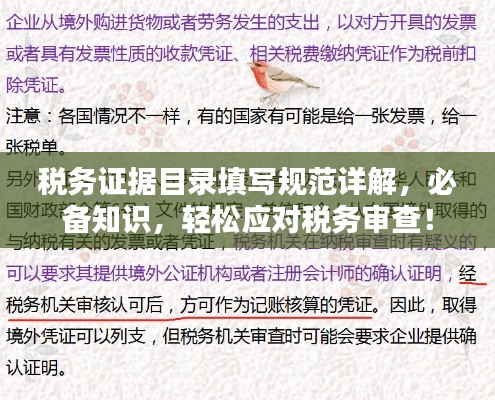 税务证据目录填写规范详解，必备知识，轻松应对税务审查！