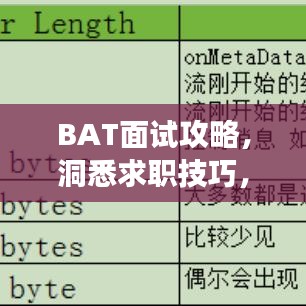 BAT面试攻略，洞悉求职技巧，助力成功求职之路