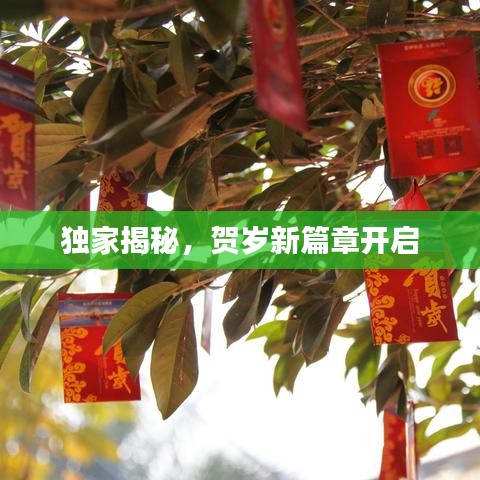 独家揭秘，贺岁新篇章开启