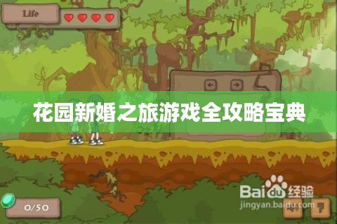 花园新婚之旅游戏全攻略宝典
