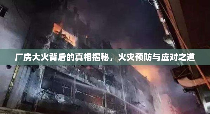 厂房大火背后的真相揭秘，火灾预防与应对之道
