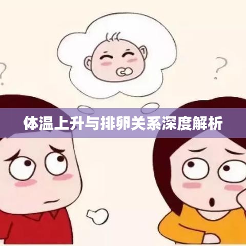 体温上升与排卵关系深度解析