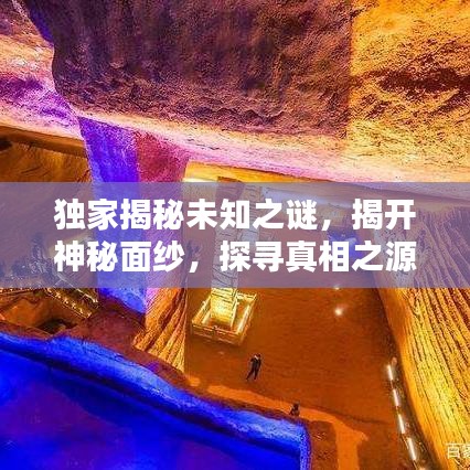 独家揭秘未知之谜，揭开神秘面纱，探寻真相之源