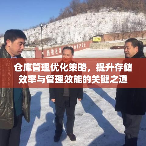 仓库管理优化策略，提升存储效率与管理效能的关键之道