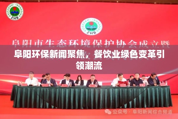 阜阳环保新闻聚焦，餐饮业绿色变革引领潮流
