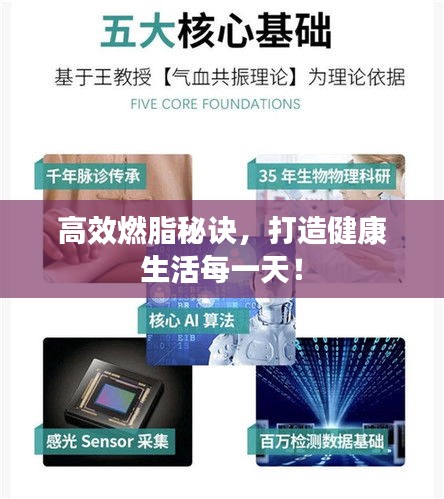 高效燃脂秘诀，打造健康生活每一天！