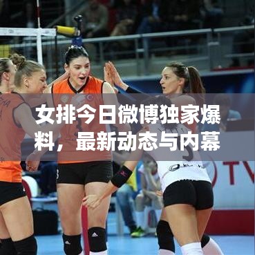 女排今日微博独家爆料，最新动态与内幕揭晓！