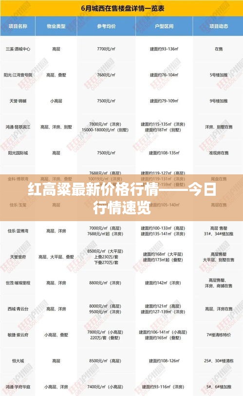 红高粱最新价格行情——今日行情速览