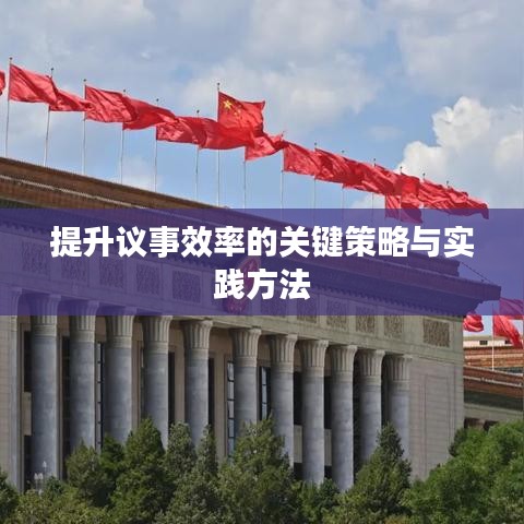 提升议事效率的关键策略与实践方法