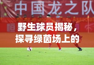 野生球员揭秘，探寻绿茵场上的神秘力量