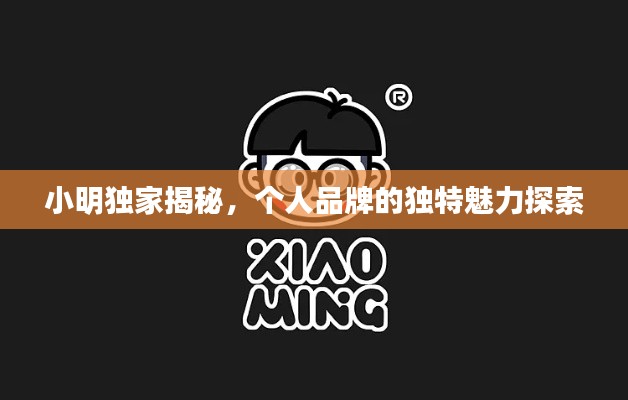 小明独家揭秘，个人品牌的独特魅力探索