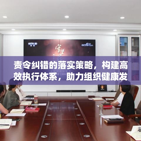 责令纠错的落实策略，构建高效执行体系，助力组织健康发展