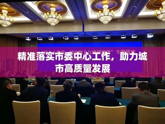 精准落实市委中心工作，助力城市高质量发展