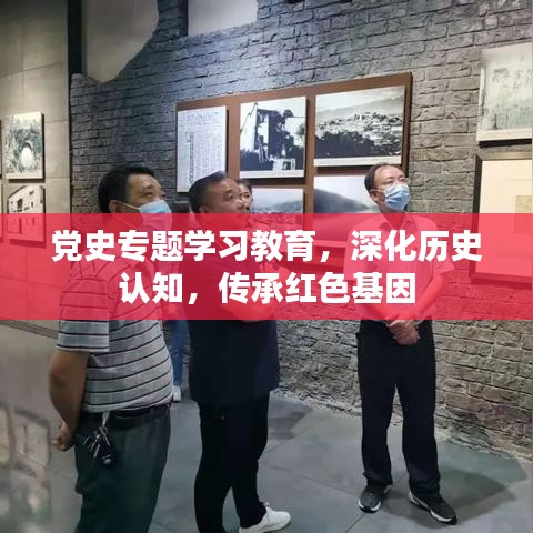 党史专题学习教育，深化历史认知，传承红色基因