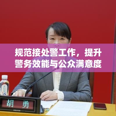 规范接处警工作，提升警务效能与公众满意度——警务工作的关键所在