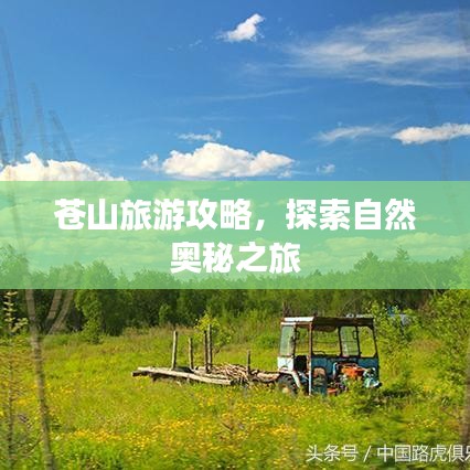 苍山旅游攻略，探索自然奥秘之旅