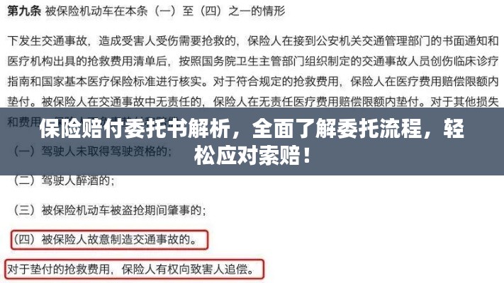 保险赔付委托书解析，全面了解委托流程，轻松应对索赔！
