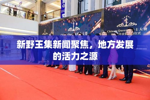新野王集新闻聚焦，地方发展的活力之源