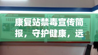 康复站禁毒宣传简报，守护健康，远离毒品危害