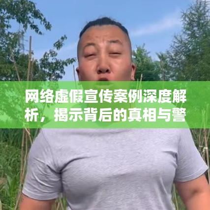 网络虚假宣传案例深度解析，揭示背后的真相与警示！