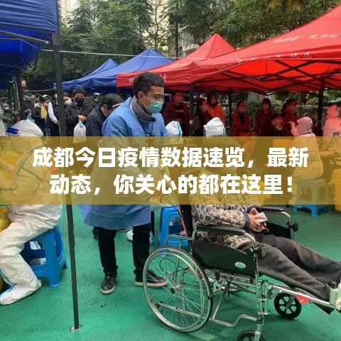 成都今日疫情数据速览，最新动态，你关心的都在这里！
