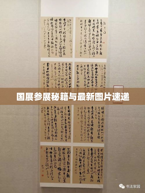 国展参展秘籍与最新图片速递