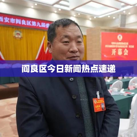 阎良区今日新闻热点速递