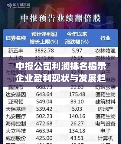 中报公司利润排名揭示企业盈利现状与发展趋势分析