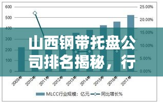 山西钢带托盘公司排名揭秘，行业深度分析与趋势预测