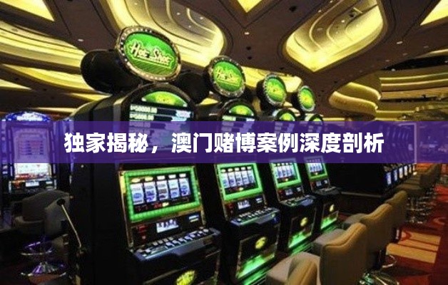 独家揭秘，澳门赌博案例深度剖析