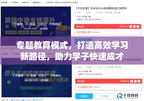 专题教育模式，打造高效学习新路径，助力学子快速成才