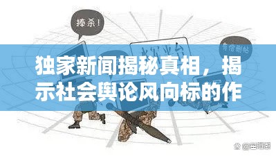 独家新闻揭秘真相，揭示社会舆论风向标的作用