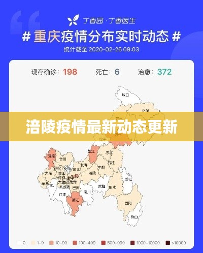 涪陵疫情最新动态更新