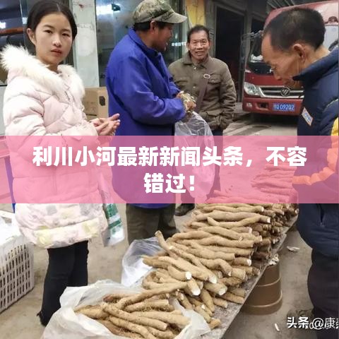 利川小河最新新闻头条，不容错过！