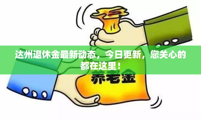 达州退休金最新动态，今日更新，您关心的都在这里！