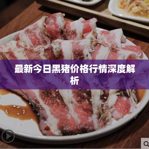 最新今日黑猪价格行情深度解析