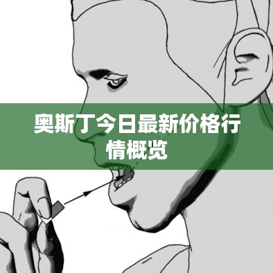 奥斯丁今日最新价格行情概览