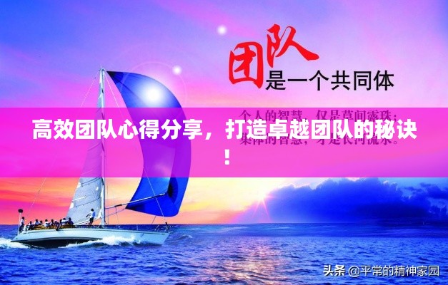 高效团队心得分享，打造卓越团队的秘诀！