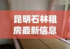 昆明石林租房最新信息全攻略
