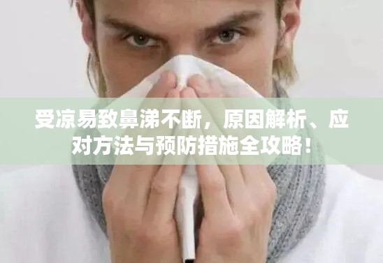 受凉易致鼻涕不断，原因解析、应对方法与预防措施全攻略！