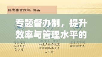 专题督办制，提升效率与管理水平的核心秘诀