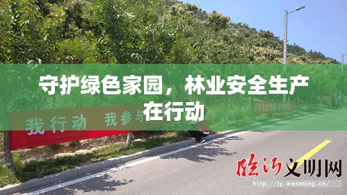 守护绿色家园，林业安全生产在行动