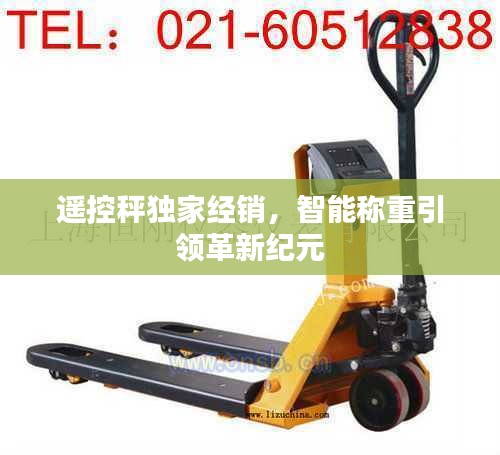 遥控秤独家经销，智能称重引领革新纪元