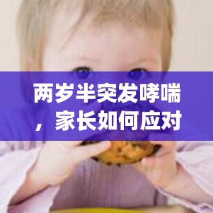 高谈阔论